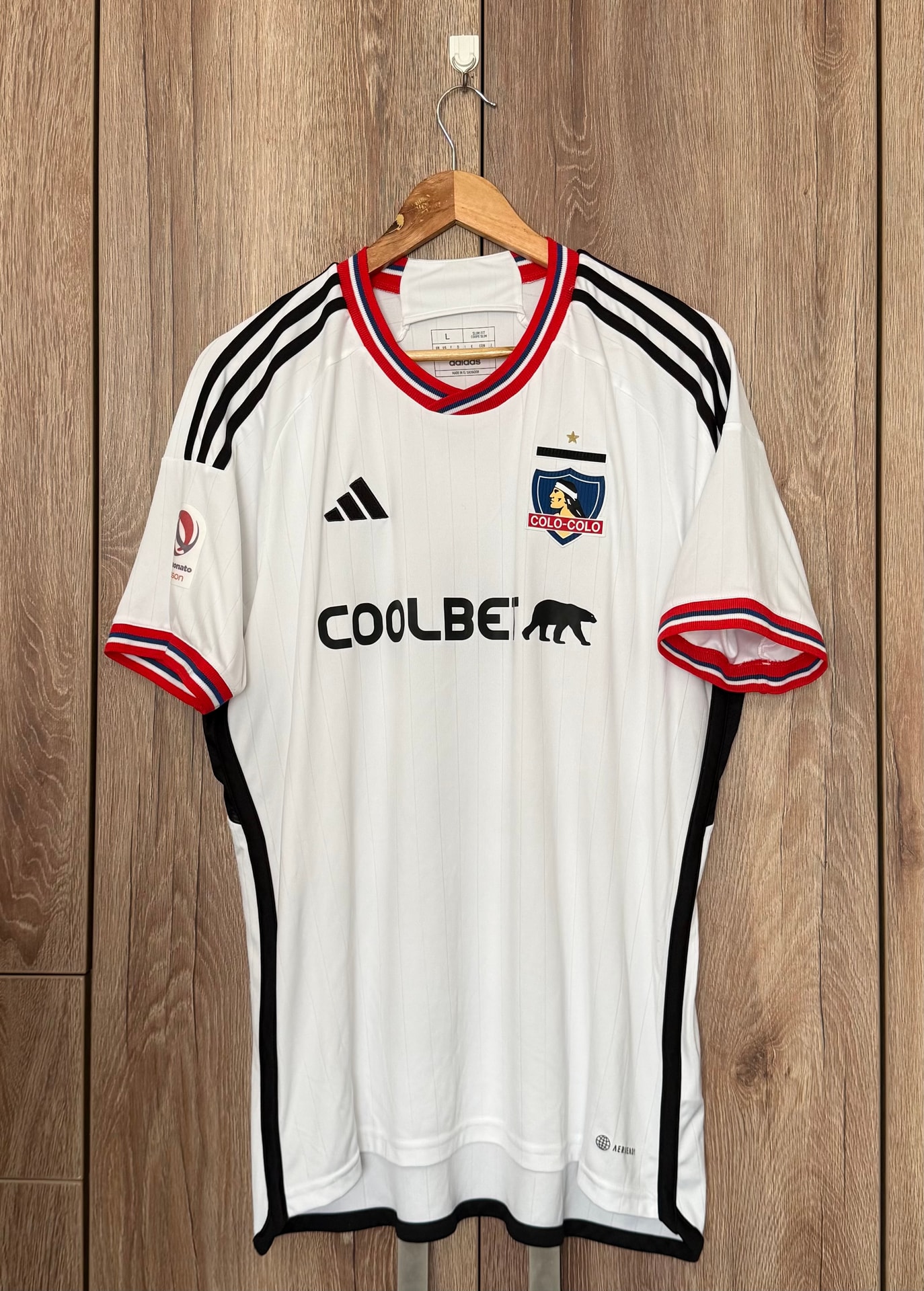 Colo Colo 2023 Damián Pizarro