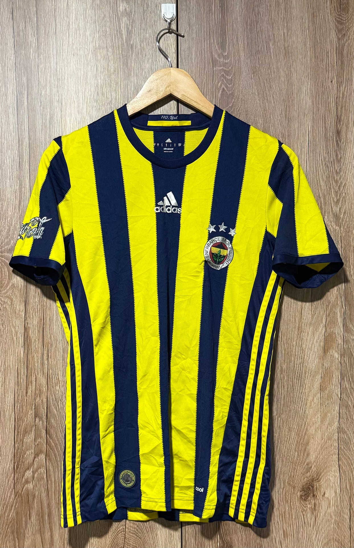 Fenerbahçe SK 2016/2017