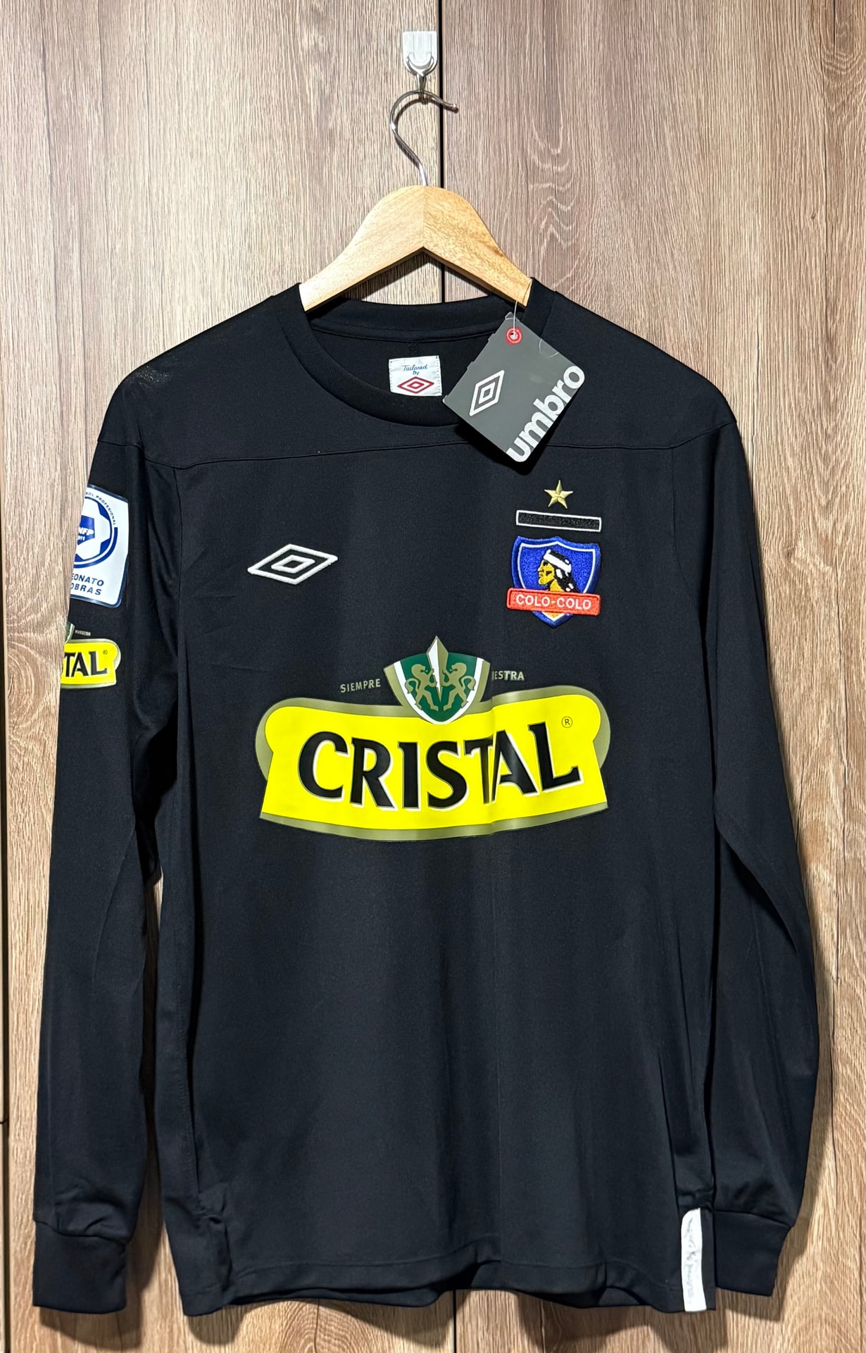 Coló coló arquero 2011 castillo